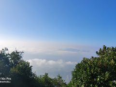 -梧桐山风景名胜区