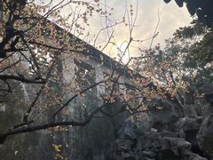 -拙政园