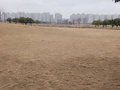 -洋湖国家湿地公园