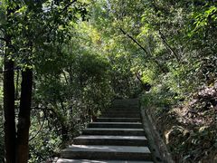 -火炉山森林公园