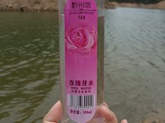 -清溪森林公园