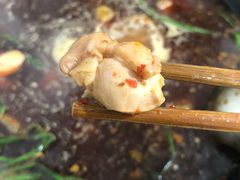 -石灰市毛记烧鸡公(解放碑店)