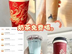 -大围山国家森林公园