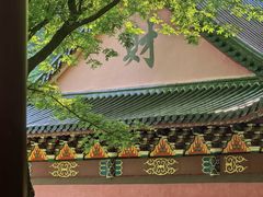 -磐安舞龙峡景区