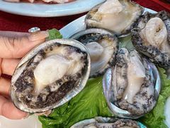 -花苑美食横琴生蚝火锅(拱北粤华路店)