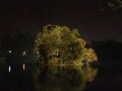 -四星望月(中联店)