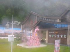 -大围山国家森林公园