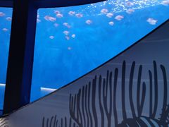 -沈阳海洋探索中心