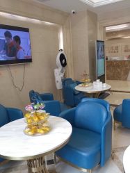 -碧莲盛·不剃发植发