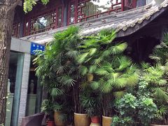 -大妙火锅·非物质文化遗产(东湖公园店)