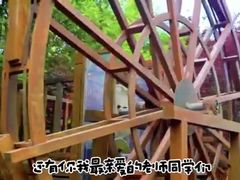 -青岛西海岸新区博苑托育·早教·幼儿园