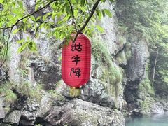 -石台牯牛降景区