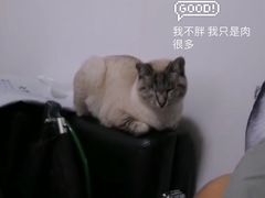 -宠颐生中康贝怡动物医院