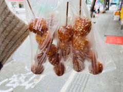 -邓记新一代糖油果子(四川煤管局供销公司职工宿舍店)