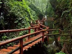 -青城山