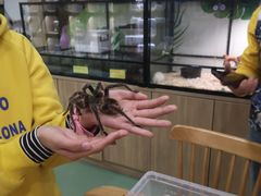 -藦茜花园宠物主题亲子互动体验馆(国顺东路店)