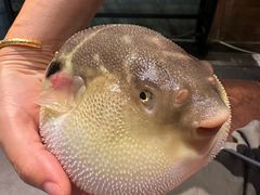 -永安鱼庄·镇江菜(东吴路店)