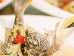 -有腥气私房菜·寻味顺德