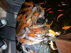-上海大自然野生昆虫馆
