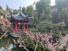 -上海虹桥宾馆·SLIDER(郁锦香店)