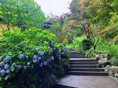 -南宋胡记(杭州灵隐寺店)