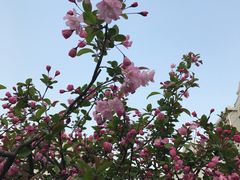 -金杨新村六街坊