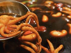 炖章鱼-云天楼国鼎喜宴中心(国鼎店)