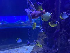 -多彩贵州城极地海洋世界