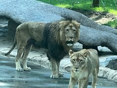 -北京野生动物园