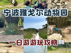 -宁波野生动物园