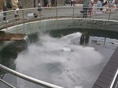 -凤阁楼果木烧鹅(鹤山陈山店)