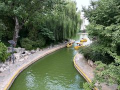 -团结湖公园