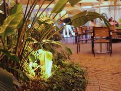 -813芭依珊 BAESAn(皇冠十畝地店)