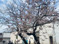 -柯岩风景区