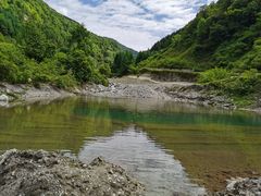 -卧龙自然保护区