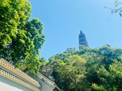 -顺峰山公园
