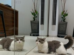 -seeu coffee(江滩店)