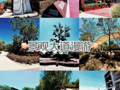 -唐岛湾公园