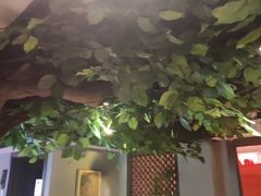 -八大碗·地道东北菜(中街店)