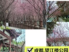 -望江楼公园