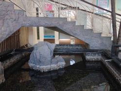 -五洲妇儿医院