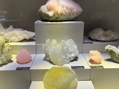 -河南自然博物馆