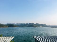 -望湖烤鱼
