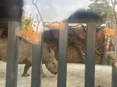 -武汉动物园