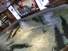-胖姐渔村(中源大道店)