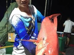 -小猫钓鱼海钓俱乐部(椰梦长廊店)