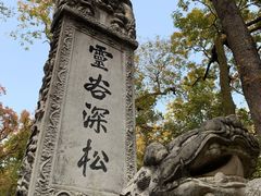 -灵谷景区