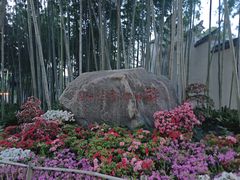 -上海醉白池公园
