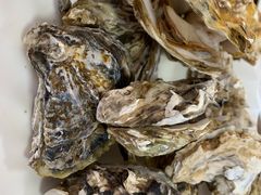 -宾朋海鲜特色美食餐厅·纯手工鲅鱼水饺(兴海路店)