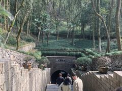 -瑶琳仙境
